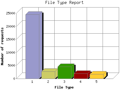 File Type Report: Number of requests by File Type.